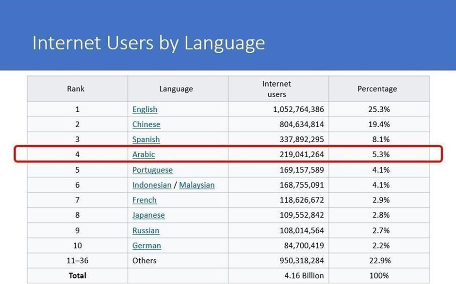 internet users by language