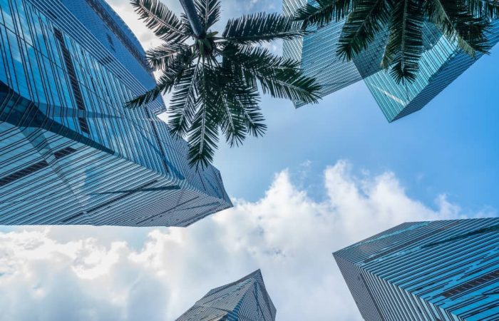 Hiring an SEO Agency in Dubai